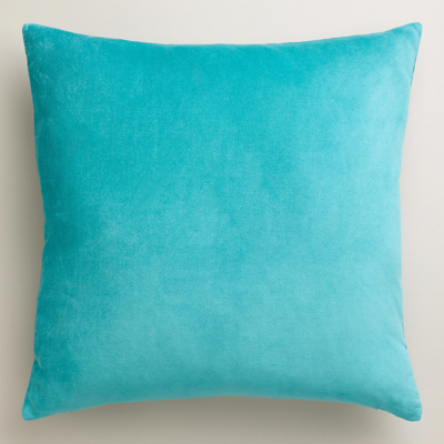 Aqua Velvet Throw Pillow