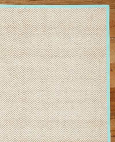 Chenille Jute Aqua Border Rug