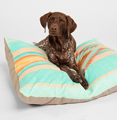 Bianca Green For DENY Fiesta Teal Pet Bed