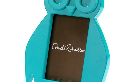 DwellStudio Baby Aqua Owl Frame