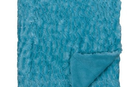 Xhilaration Faux Fur Throw in Teal