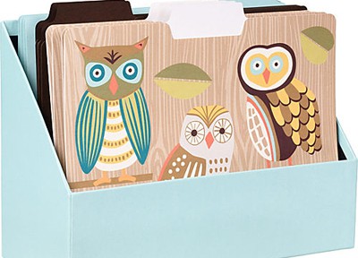 Pool Owl File Folder Holder