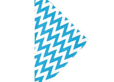 Pine Cone Hill Chevron Turquoise Napkin Set of 4