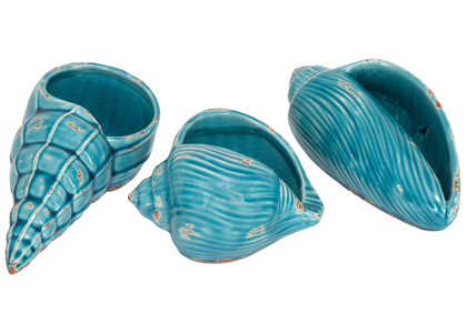 Aqua Ceramic Shell Set