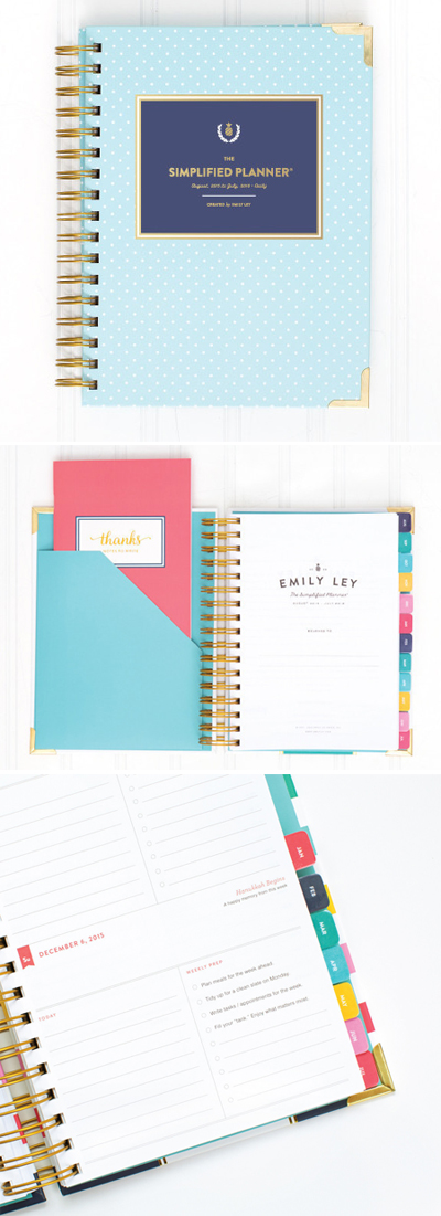 2016 Daily Simplified Planner