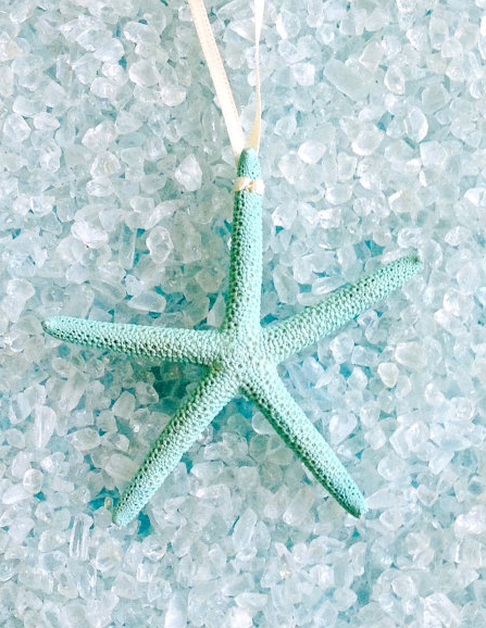 Natural Starfish Ornament in Aqua