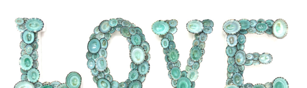 "LOVE" Letters with Natural Blue Green Limpet Shells