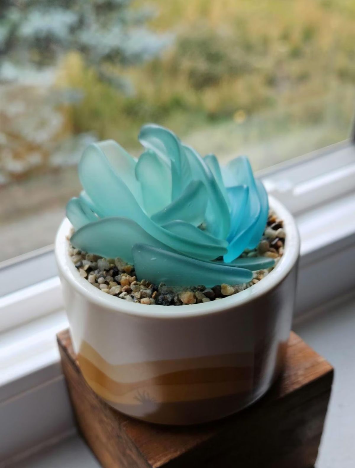 Sea Glass Succulent  Everything Turquoise